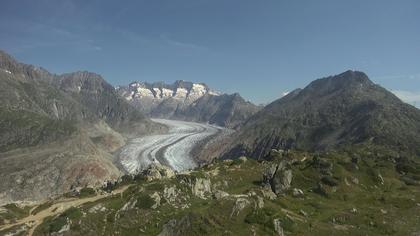 Riederalp: Aletsch Arena - Moosfluh Bergstation