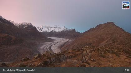 Riederalp: Aletsch Arena - Moosfluh Bergstation