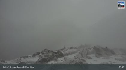 Riederalp: Aletsch Arena - Moosfluh Bergstation