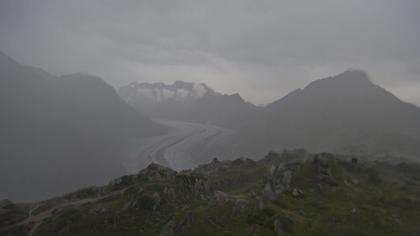 Riederalp: Aletsch Arena - Moosfluh Bergstation