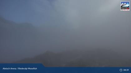 Riederalp: Aletsch Arena - Moosfluh Bergstation