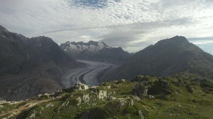 Riederalp: Aletsch Arena - Moosfluh Bergstation