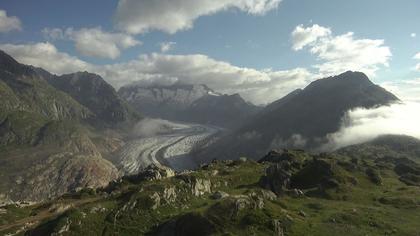 Riederalp: Aletsch Arena - Moosfluh Bergstation