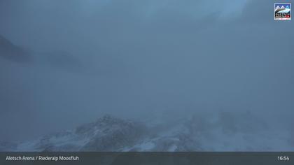 Riederalp: Aletsch Arena - Moosfluh Bergstation