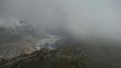 Riederalp: Aletsch Arena - Moosfluh Bergstation