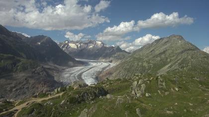 Riederalp: Aletsch Arena - Moosfluh Bergstation