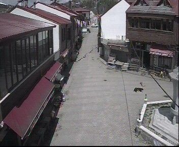 Traffic Cam Kabaduz