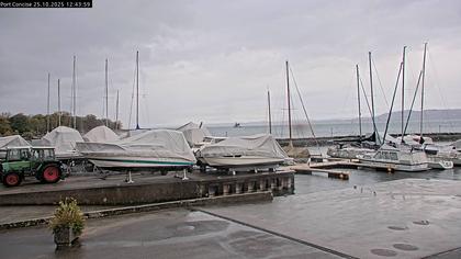 Concise: Neuenburgersee