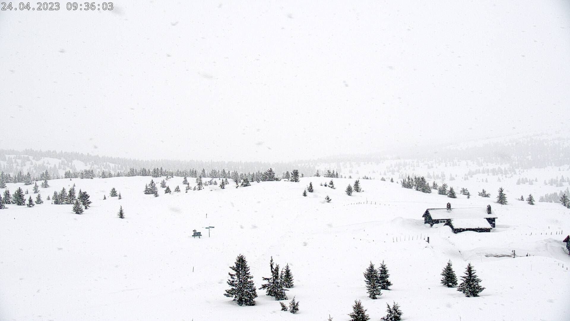 Traffic Cam Lillehammer › East: Pellestova Hotel Hafjell