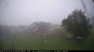 immagine della webcam nei dintorni di Pergola: webcam Monte Nerone