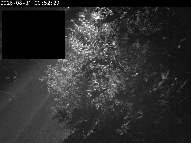 Traffic Cam Nipedalen: K4821 - sentrum