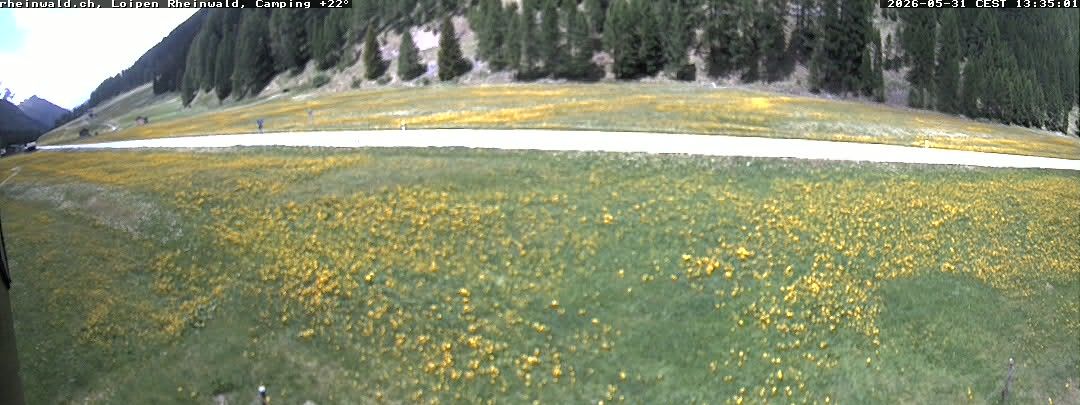 Rheinwald › Nordwesten: Langlaufzentrum Splügen / Rheinwald