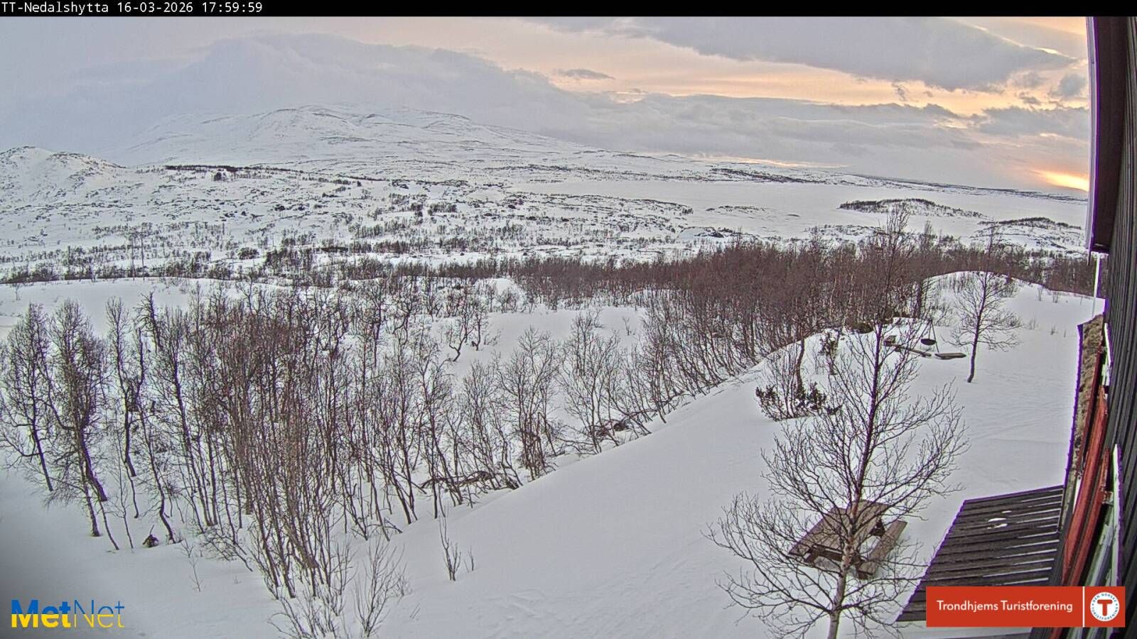 Traffic Cam Trøndelag: Nesjøen