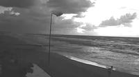 Anzio