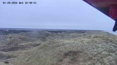 Sondervig Daglicht Webcam Image