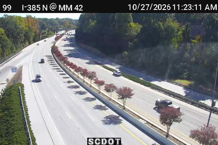 Greenville webcam