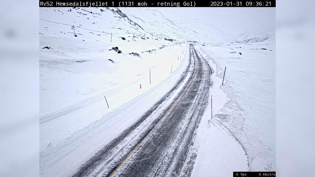 Hemsedal: R52 Hemsedalsfjellet 1 (1 140 moh, retning aust)