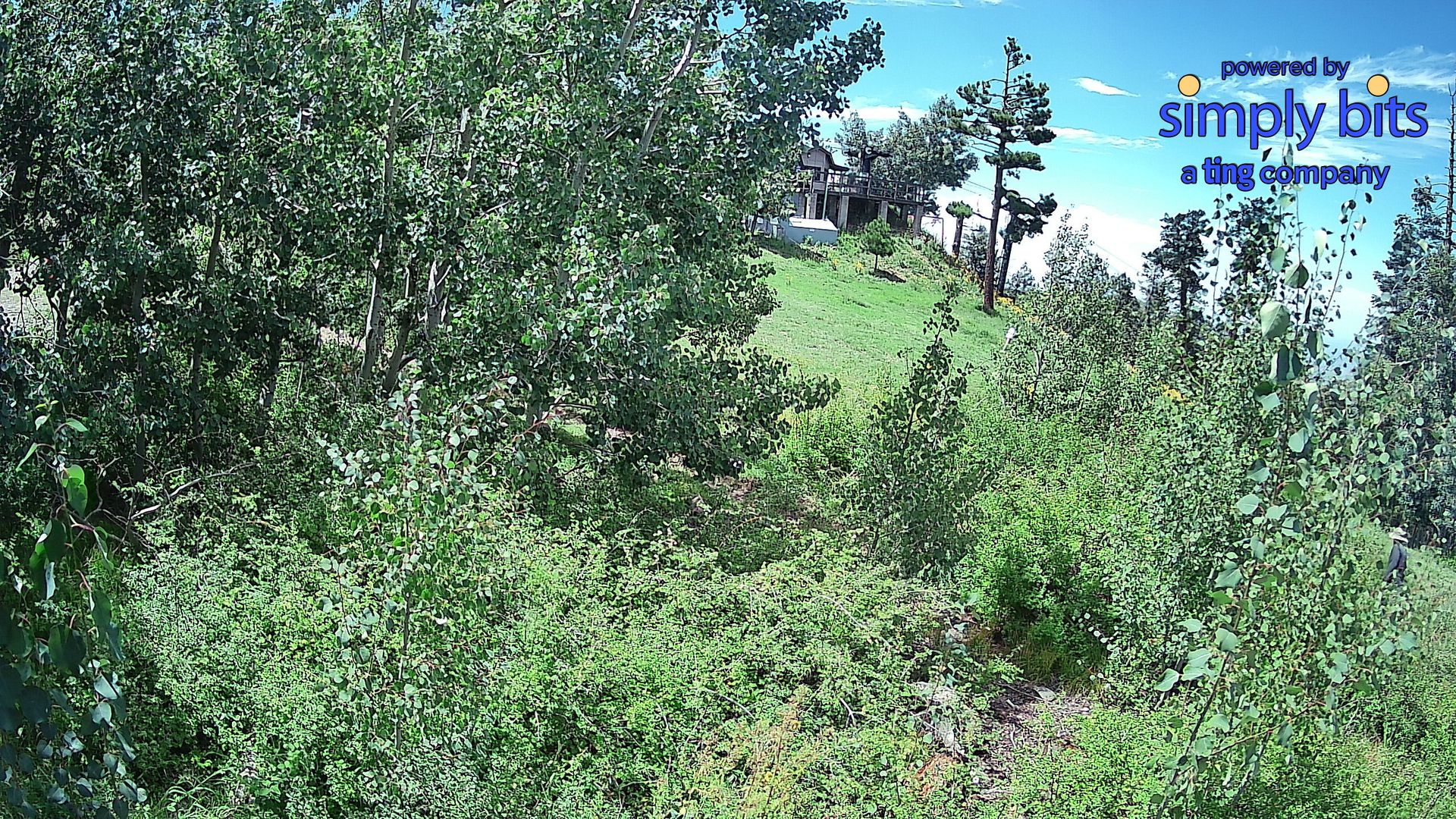 Traffic Cam Pima County › North-East: Mt Lemmon Ski Valley