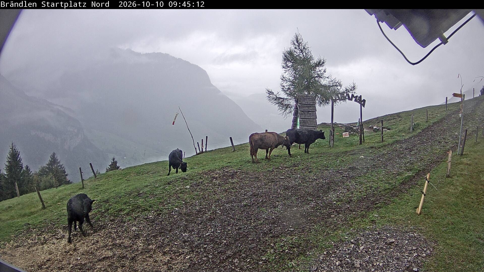 Wolfenschiessen: Brändlen