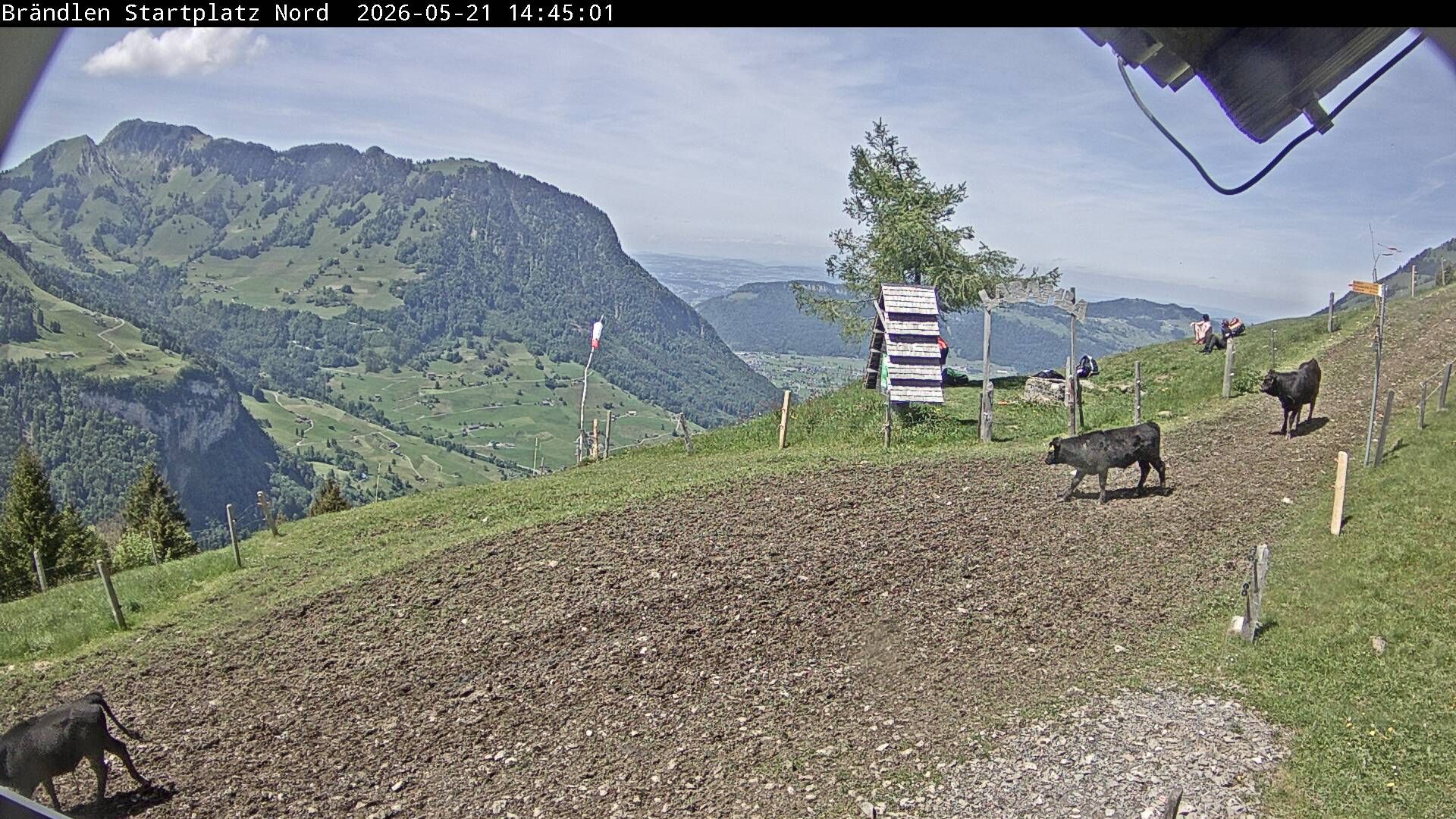 Wolfenschiessen: Brändlen