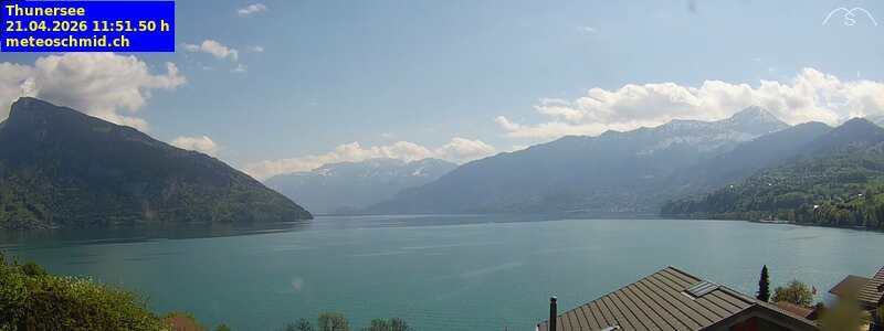 Spiez › Osten: Thunersee