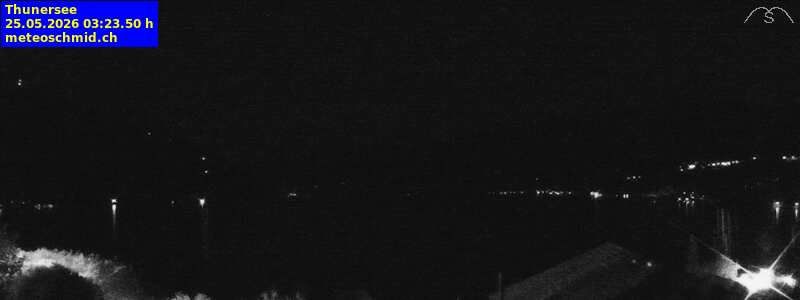 Spiez › Osten: Thunersee