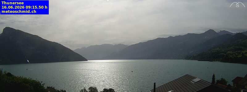 Spiez › Osten: Thunersee