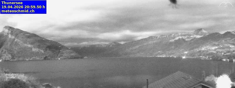 Spiez › Osten: Thunersee