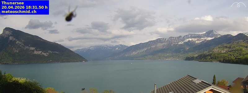 Spiez › Osten: Thunersee