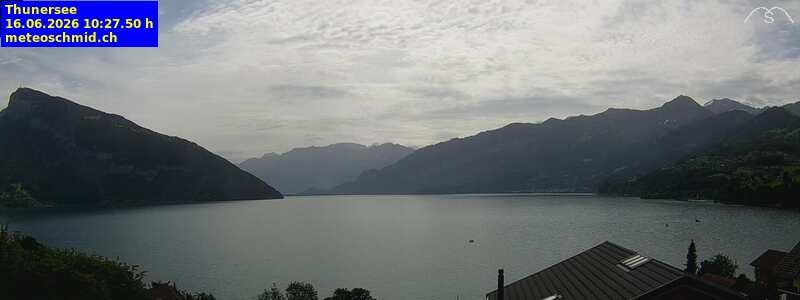Spiez › Osten: Thunersee