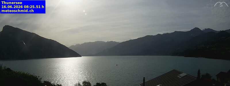 Spiez › Osten: Thunersee