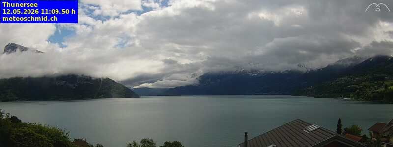 Spiez › Osten: Thunersee