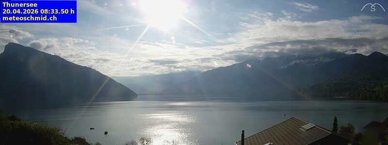 Spiez › Osten: Thunersee