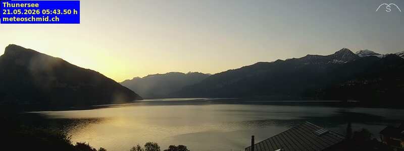 Spiez › Osten: Thunersee
