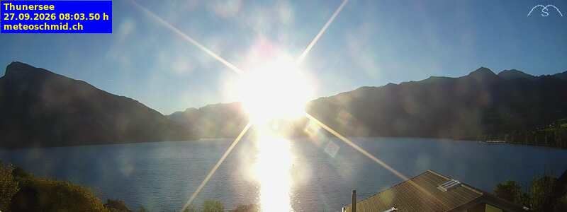 Spiez › Osten: Thunersee