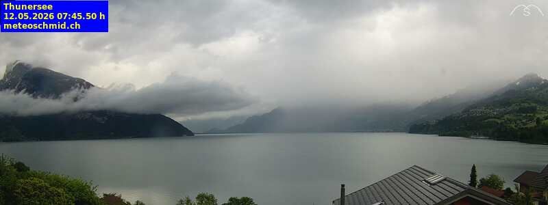 Spiez › Osten: Thunersee