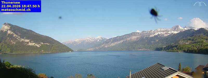 Spiez › Osten: Thunersee