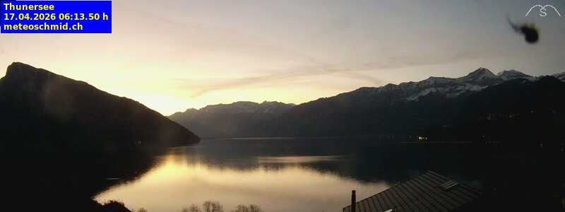 Spiez › Osten: Thunersee