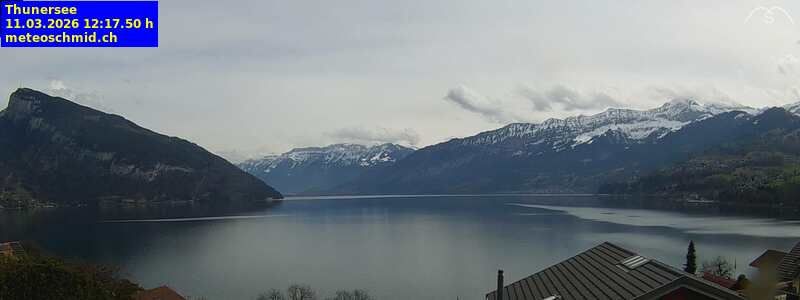 Spiez › Osten: Thunersee