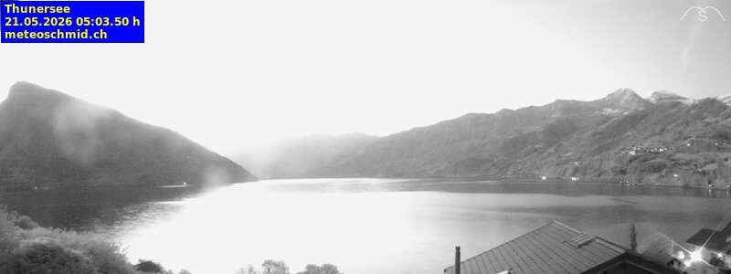 Spiez › Osten: Thunersee