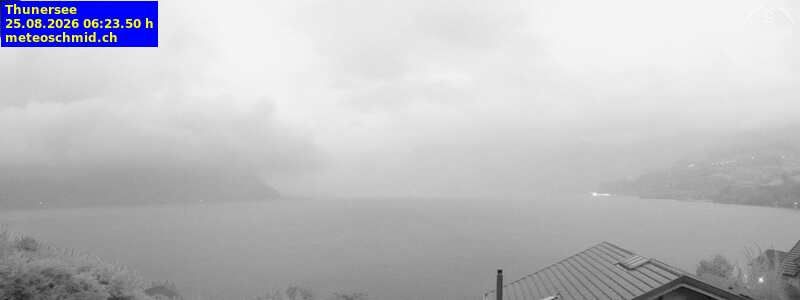 Spiez › Osten: Thunersee