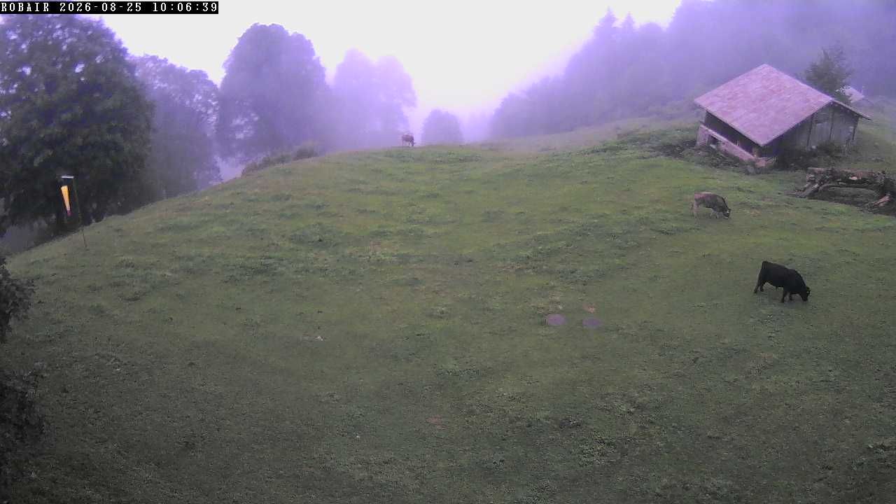 Glarus Süd › Süden: Kiosk Braunwald