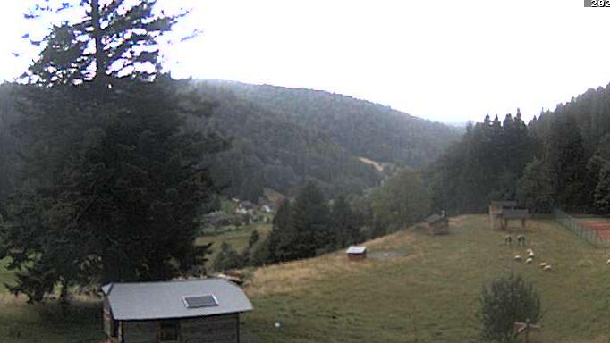 Todtmoos Valley: Mountain Landscape View Webcam