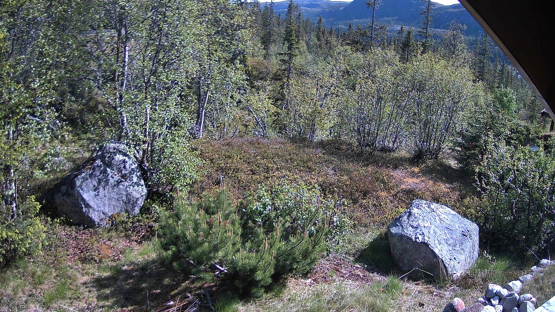 Flas Stunning Landscape Webcam