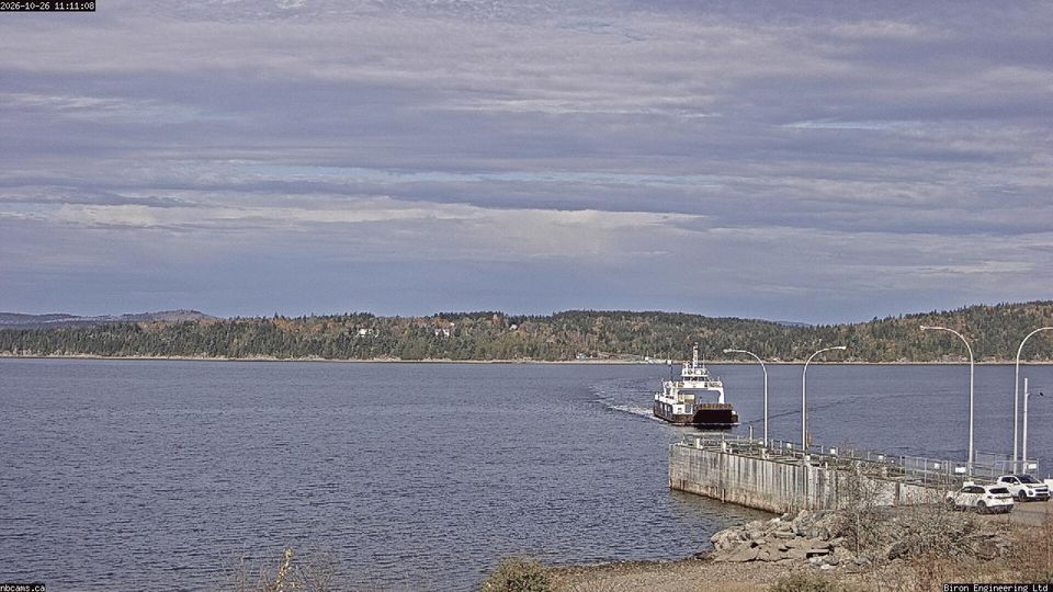 Saint John County during daytime