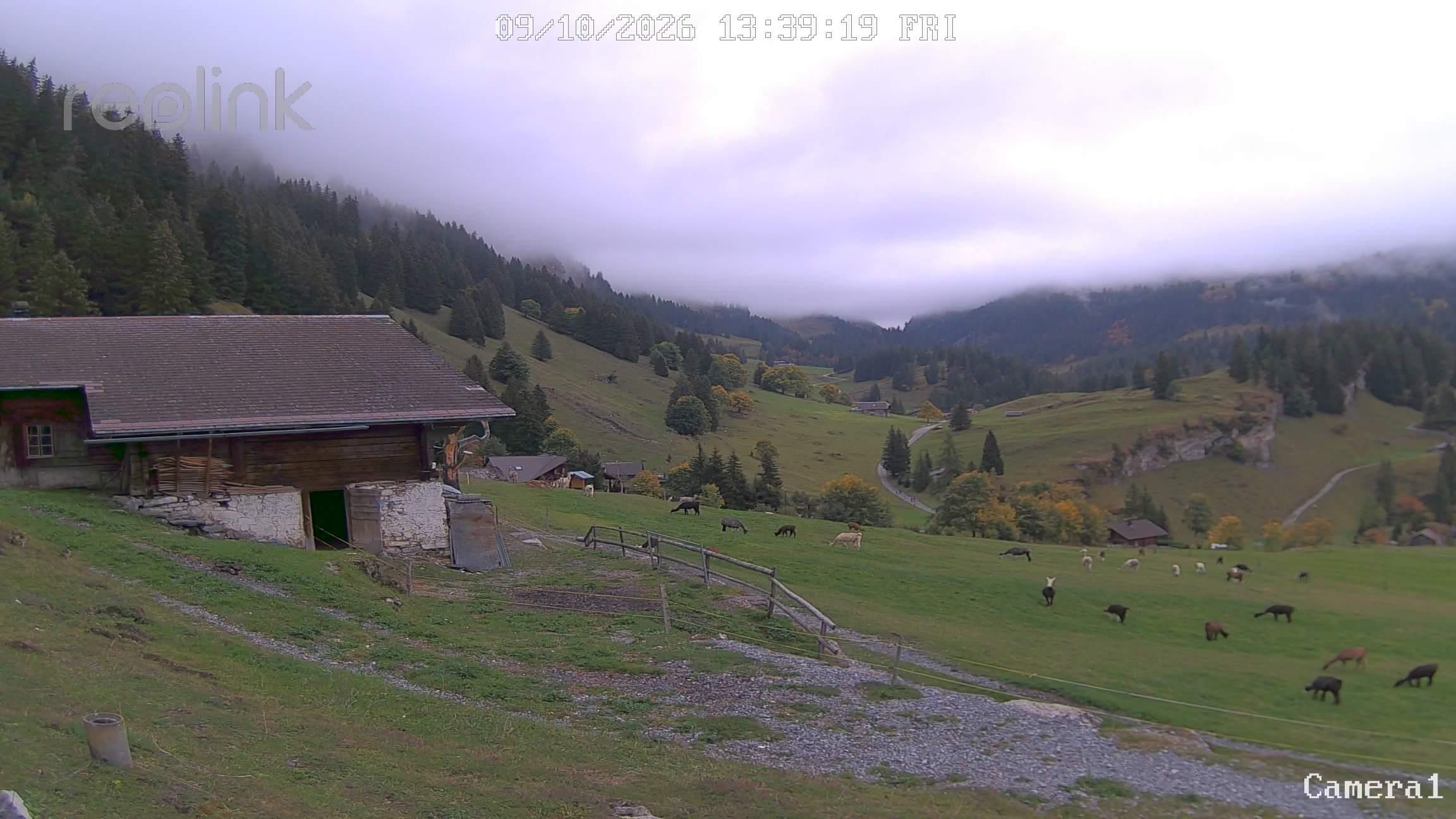 Reichenbach im Kandertal: Kiental BE
