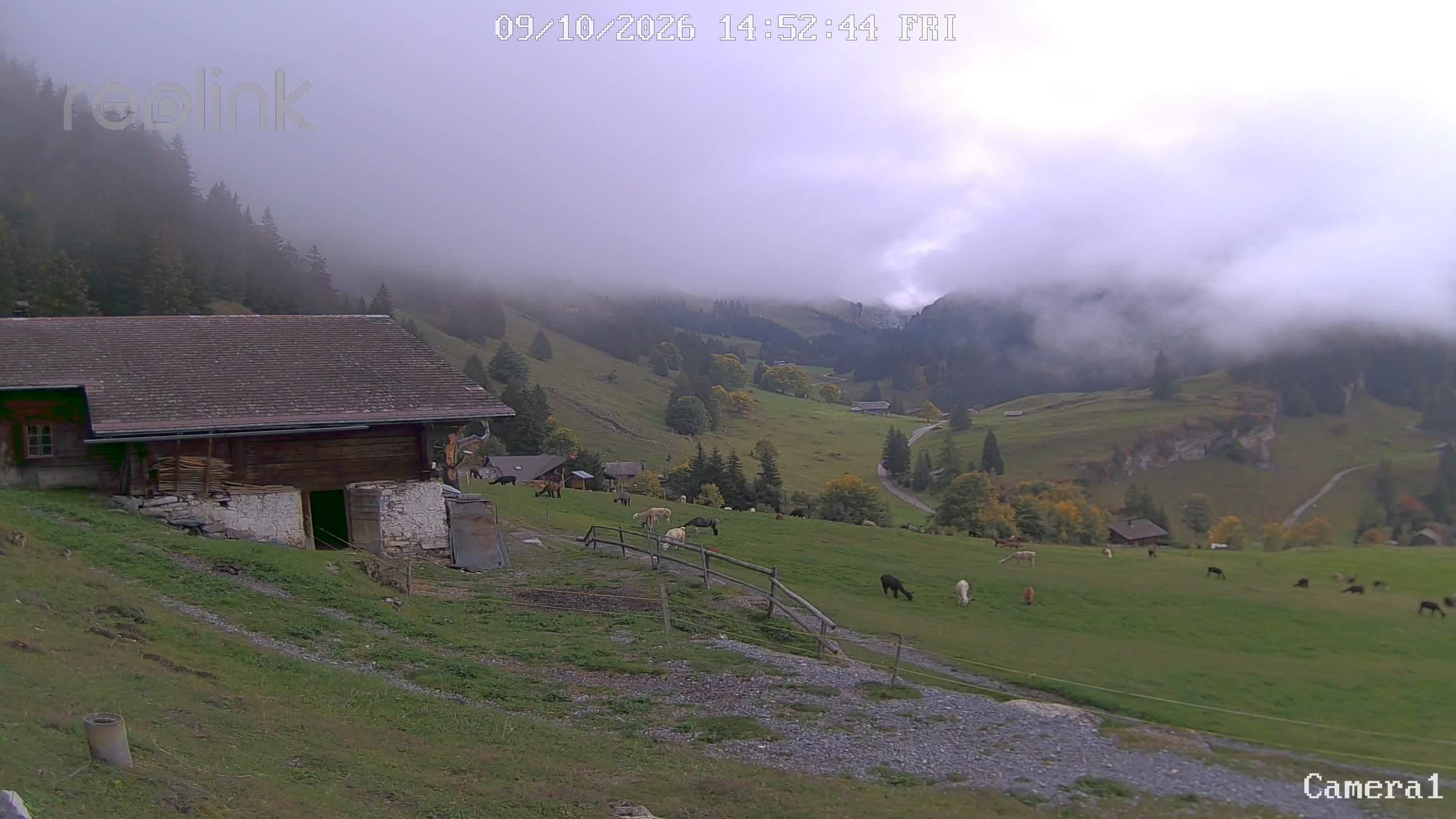 Reichenbach im Kandertal: Kiental BE