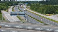 Neder Holluf › West: Odense MTX - V