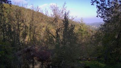 immagine della webcam nei dintorni di Carpineto della Nora: webcam Castelli