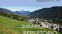 Bognanco